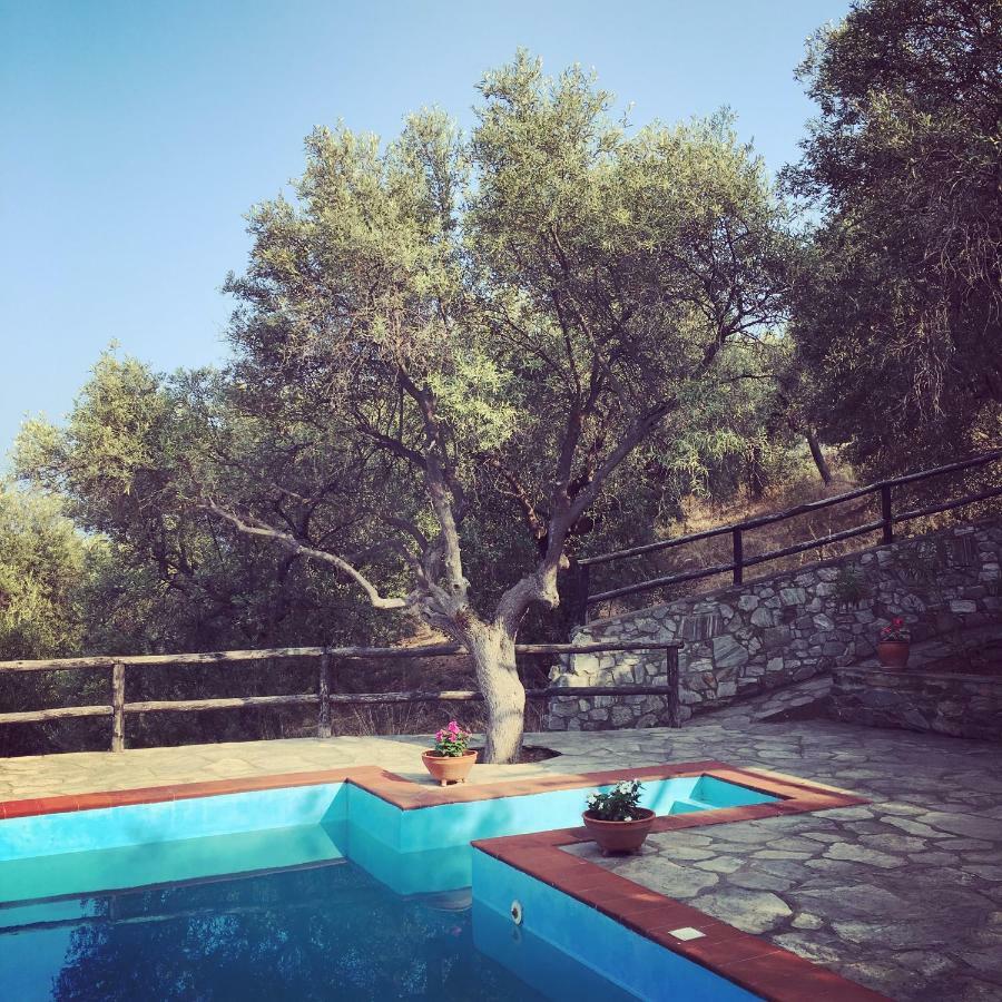 Villa Valia: Traditional Luxurious Residence Pyrgadikia Eksteriør bilde